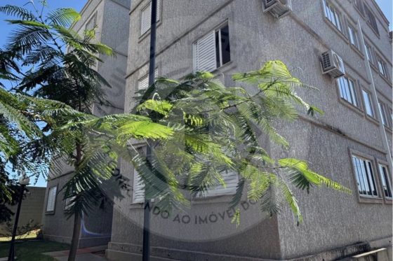 Apartamento 45m Umuarama-PR 47